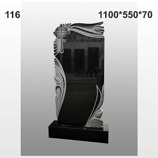Памятник №116
