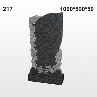 Памятник №217