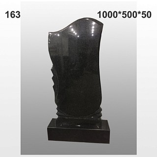 Памятник №163
