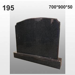 Памятник №195