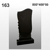 Памятник №163