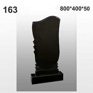 Памятник №163
