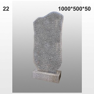 Памятник №22