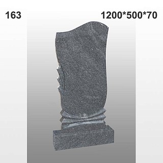 Памятник №163