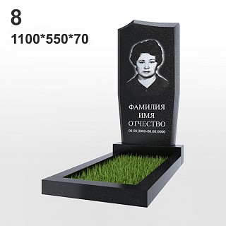 Памятник №8