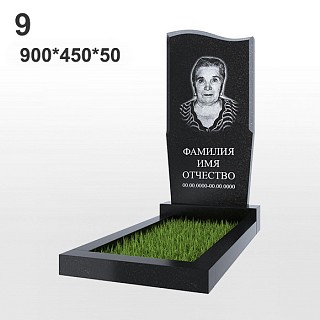 Памятник №9