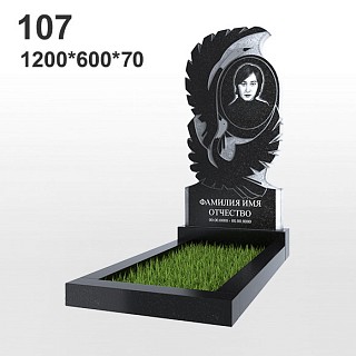 Памятник №107