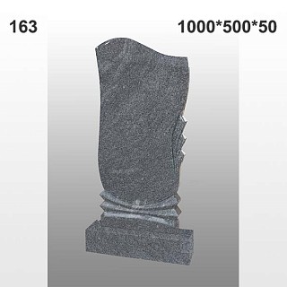 Памятник №163