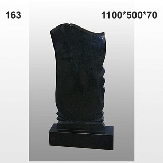 Памятник №163
