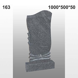 Памятник №163