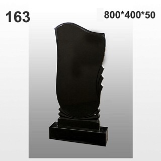 Памятник №163