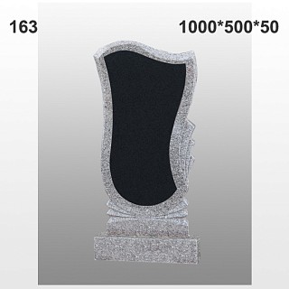 Памятник №163