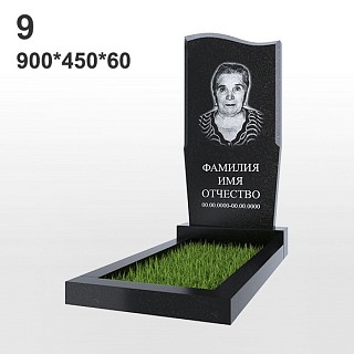 Памятник №9