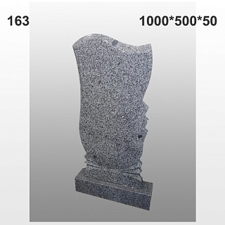 Памятник №163