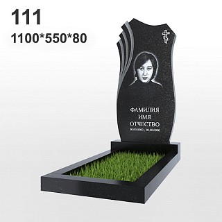 Памятник №111